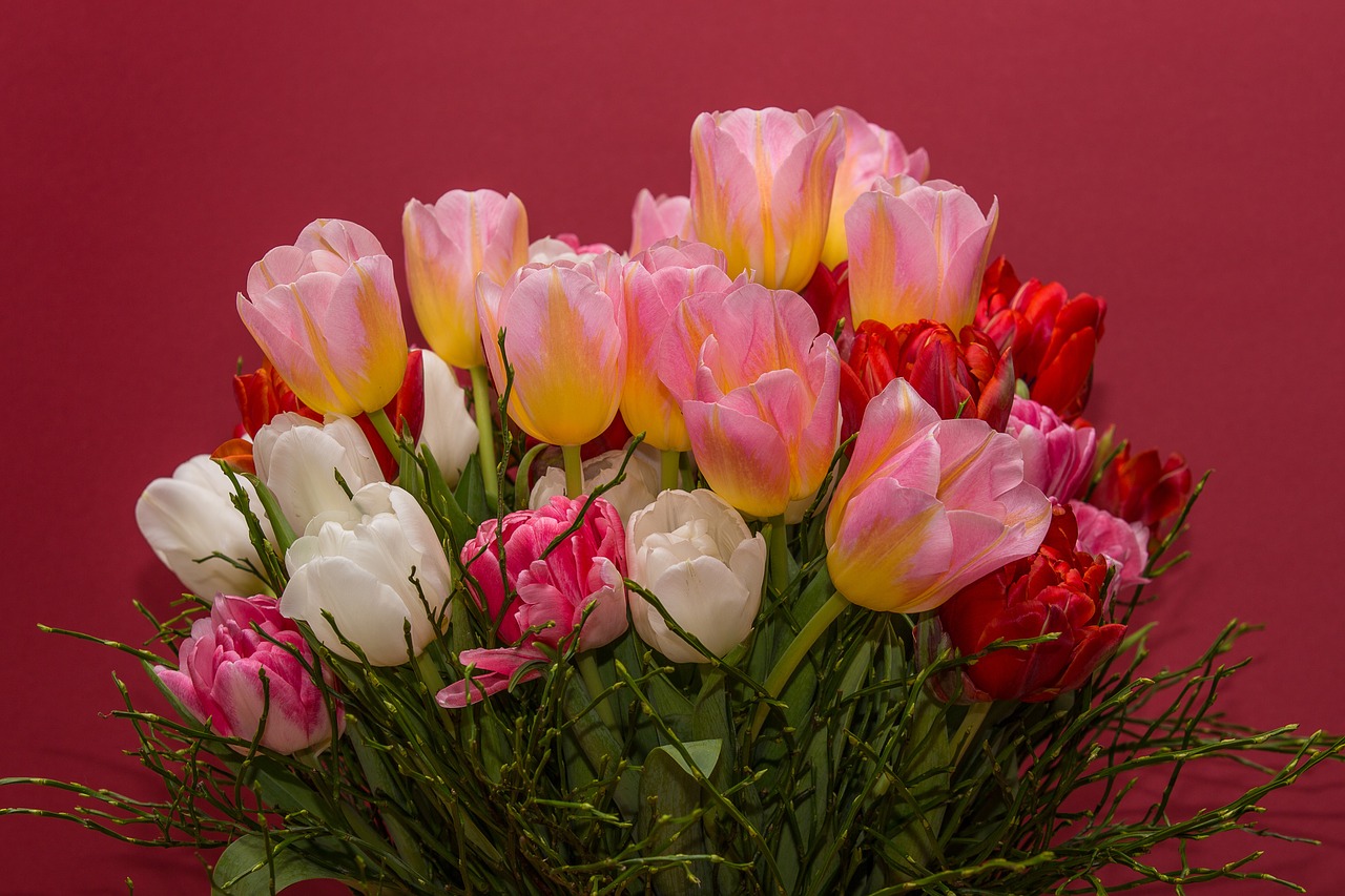 Gėlės, Tulpės, Puokštė, Puokštės, Nemokamos Nuotraukos,  Nemokama Licenzija