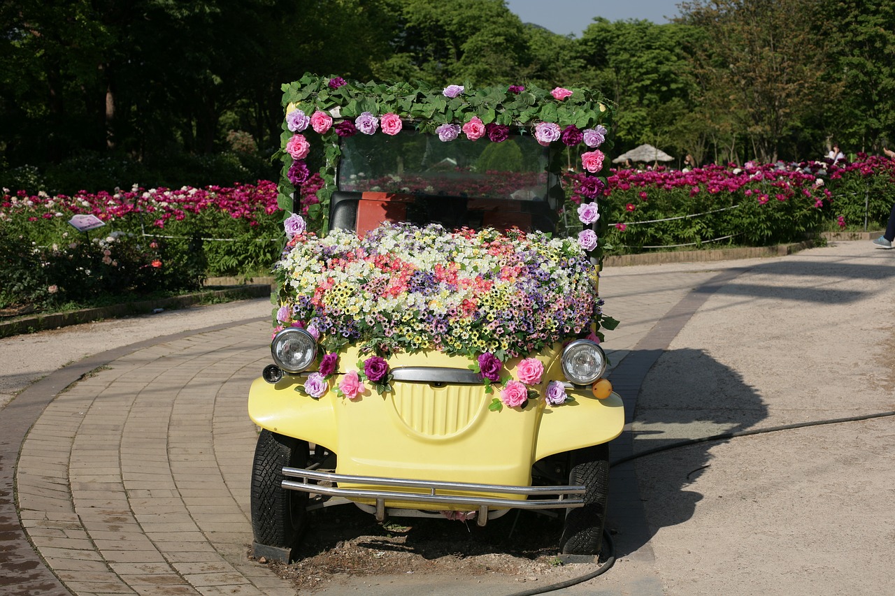 Gėlės, Automobilis, Festivalis, Gamta, Nemokamos Nuotraukos,  Nemokama Licenzija