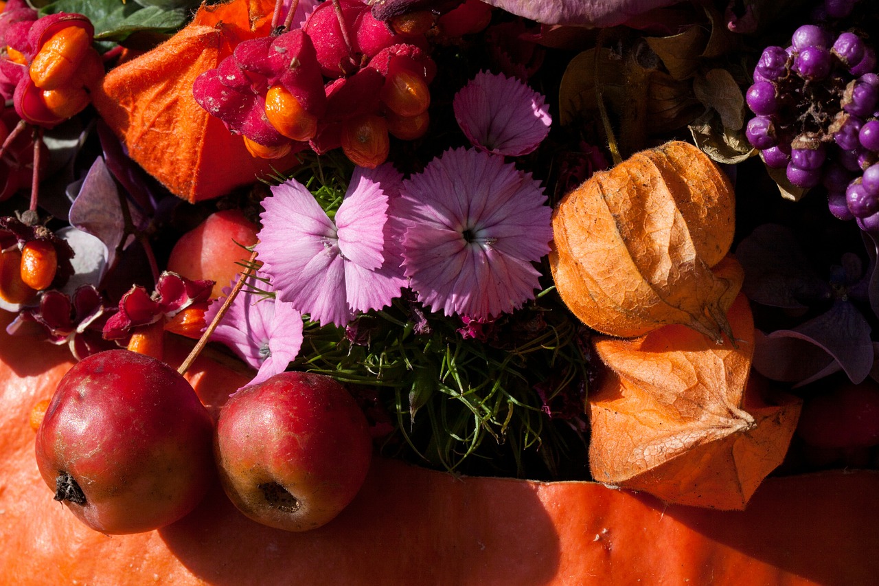 Gėlės, Gamta, Augalas, Ruduo, Rudens Gėlės, Spalvinga, Flora, Rožinis, Rožinė Violetinė, Oranžinė