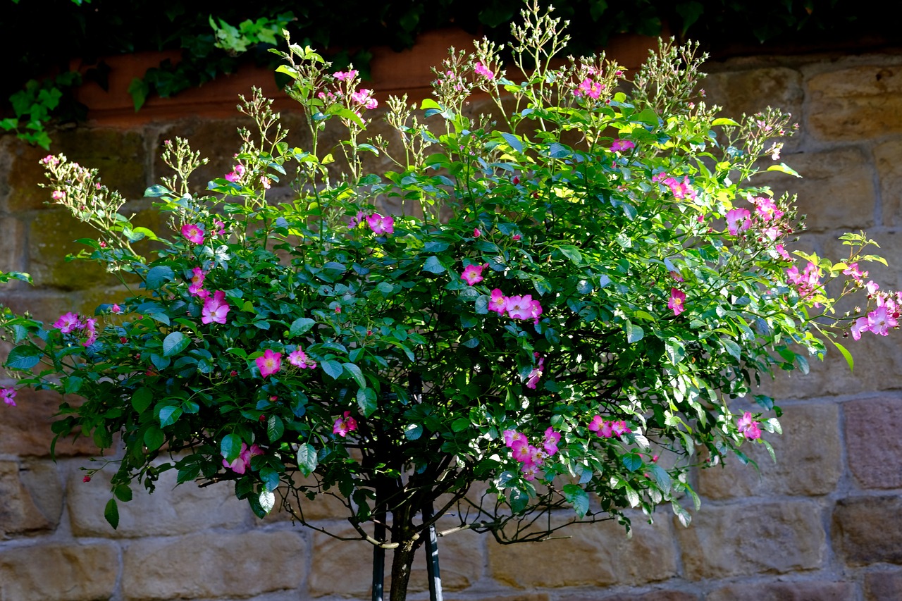 Gėlės, Išdėstymas, Deko, Flora, Apdaila, Gėlių Susitarimas, Augalas, Floristisch, Gėlių Apdaila, Dekoratyvinis