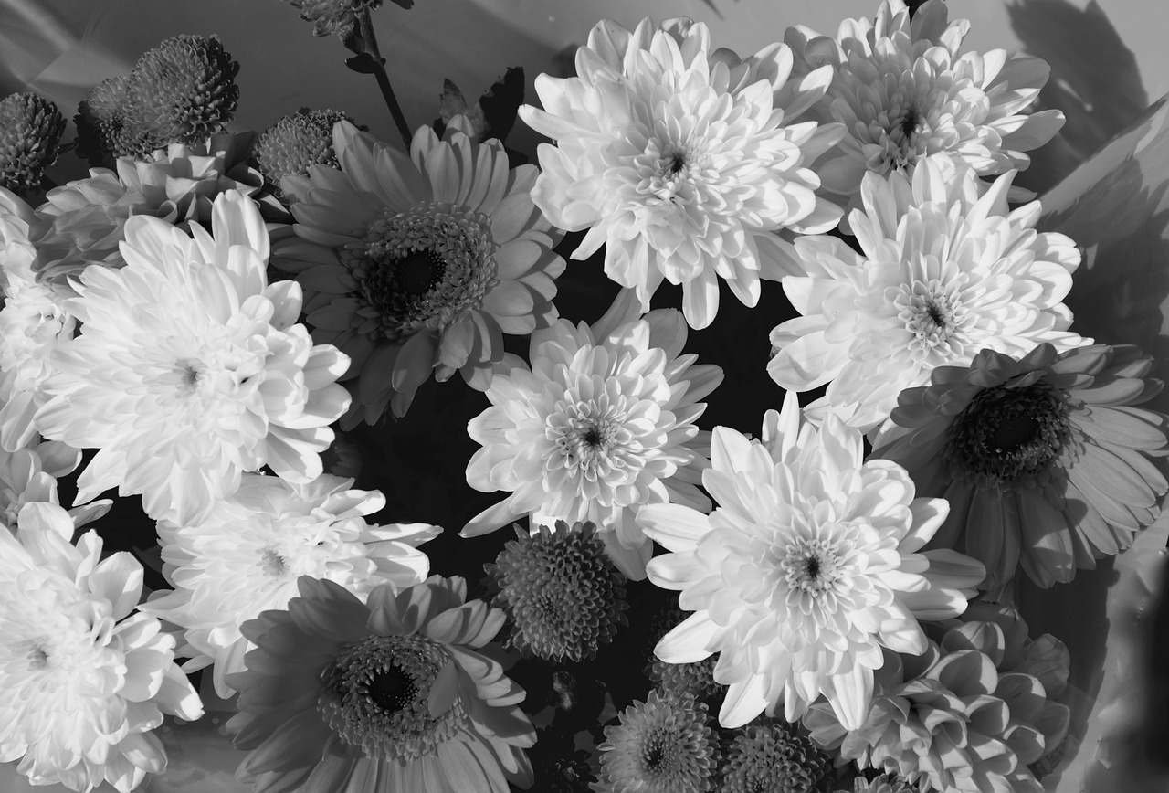 Gėlės, Gėlių Kompozicija, Nuotrauka Juoda Balta, Gėlė, Lapija, Puokštė, Didžiulės Gėlės, Augalas, Parterre, Botanika