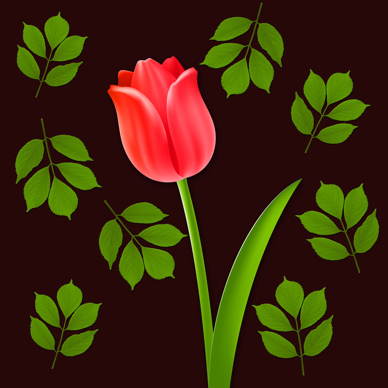 Gėlės,  Tulpė,  Gėlė,  Fonas,  Lapai,  Dizainas,  Romantiškas,  Žiedlapis,  Tulpės,  Be Honoraro Mokesčio