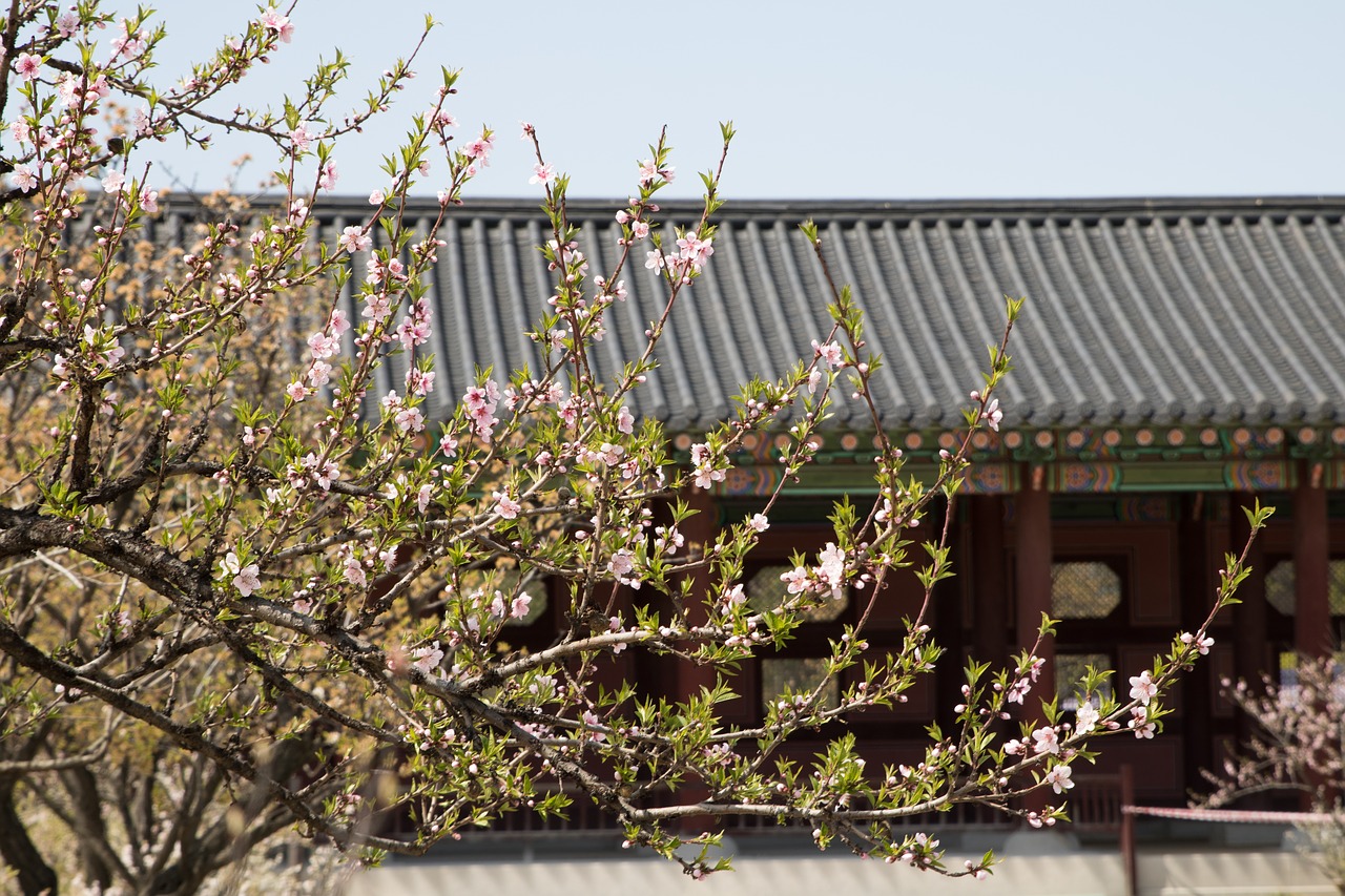 Gėlės,  Mediena,  Augalai,  Pobūdį,  Sodas,  Korėjos Respublika,  Korėja,  Seulas,  Gyeongbok Rūmai,  Tradicinis