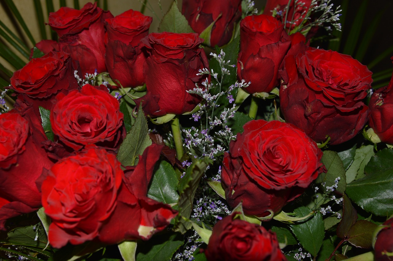 Gėlės,  Rožės,  Strauss,  Raudonas, Nemokamos Nuotraukos,  Nemokama Licenzija