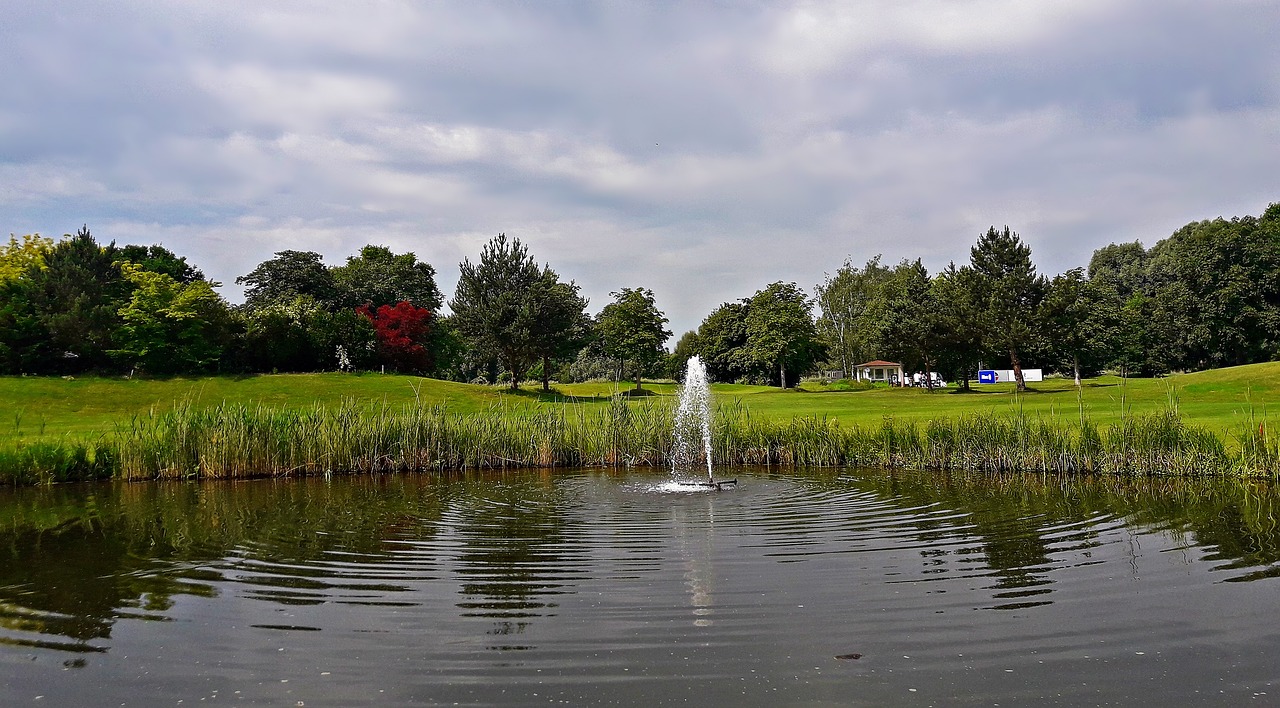 Gėlės,  Meadow,  Pavasaris,  Pobūdį,  Laukų Gėlė,  Parkas, Nemokamos Nuotraukos,  Nemokama Licenzija