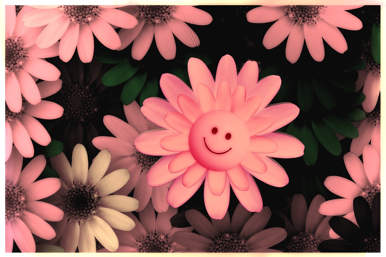 Gėlės, Smilie, Laimingas, Rožinis, Sėkmė, Šypsenėlė, Smiley, Šypsena, Džiaugsmas, Saulė