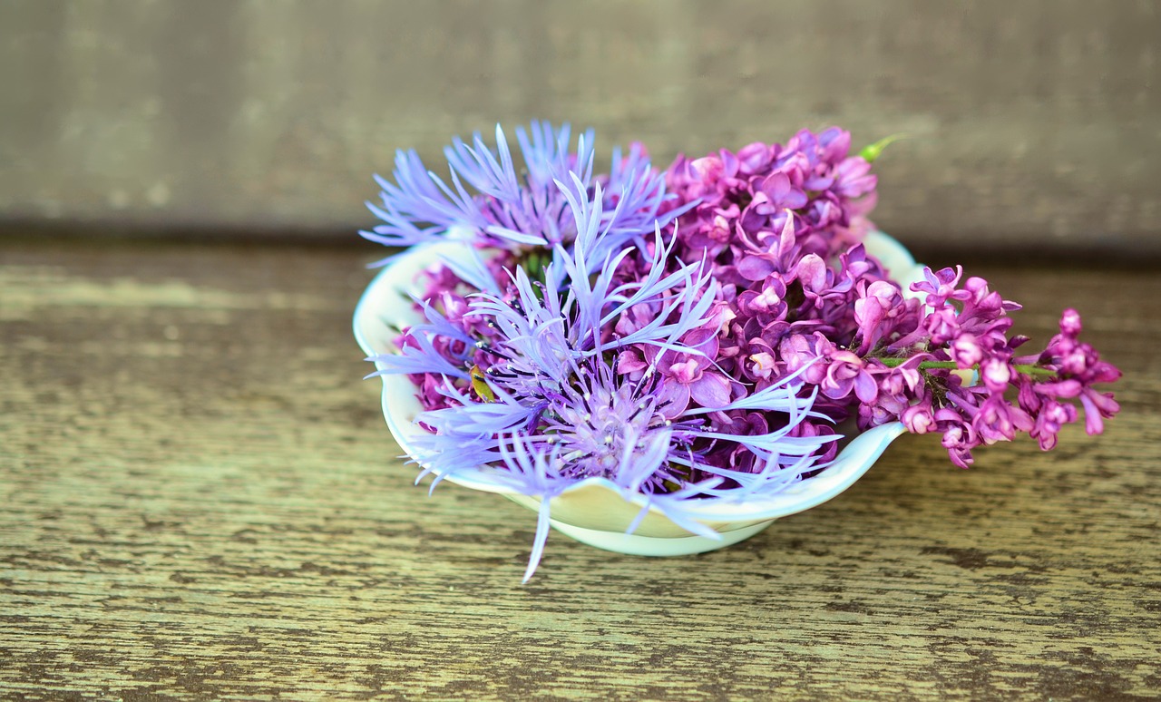 Gėlės,  Gėlių Dubuo,  Mediena,  Švelnus,  Apdaila,  Porcelianas,  Alyva,  Knapweed, Nemokamos Nuotraukos,  Nemokama Licenzija