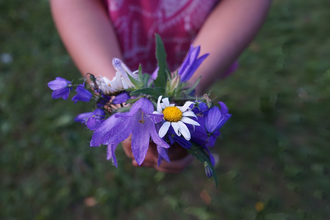 Gėlės, Strausas, Violetinė, Rankos, Vaikas, Duoti, Dovanos, Moterų Diena, Festivalis, Šventė