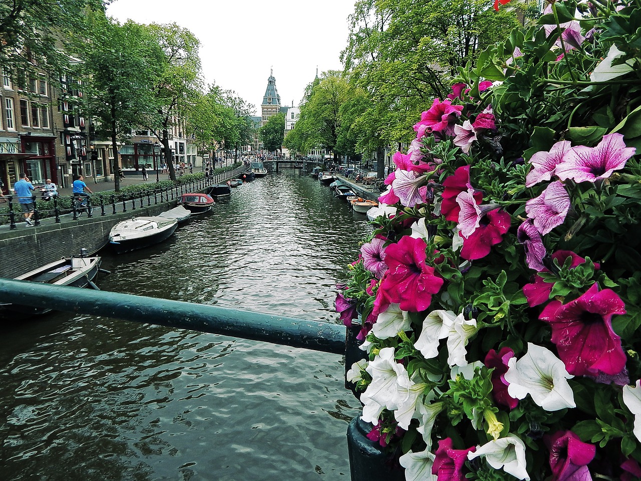 Gėlės, Amsterdamas, Holland, Nyderlandai, Nemokamos Nuotraukos,  Nemokama Licenzija