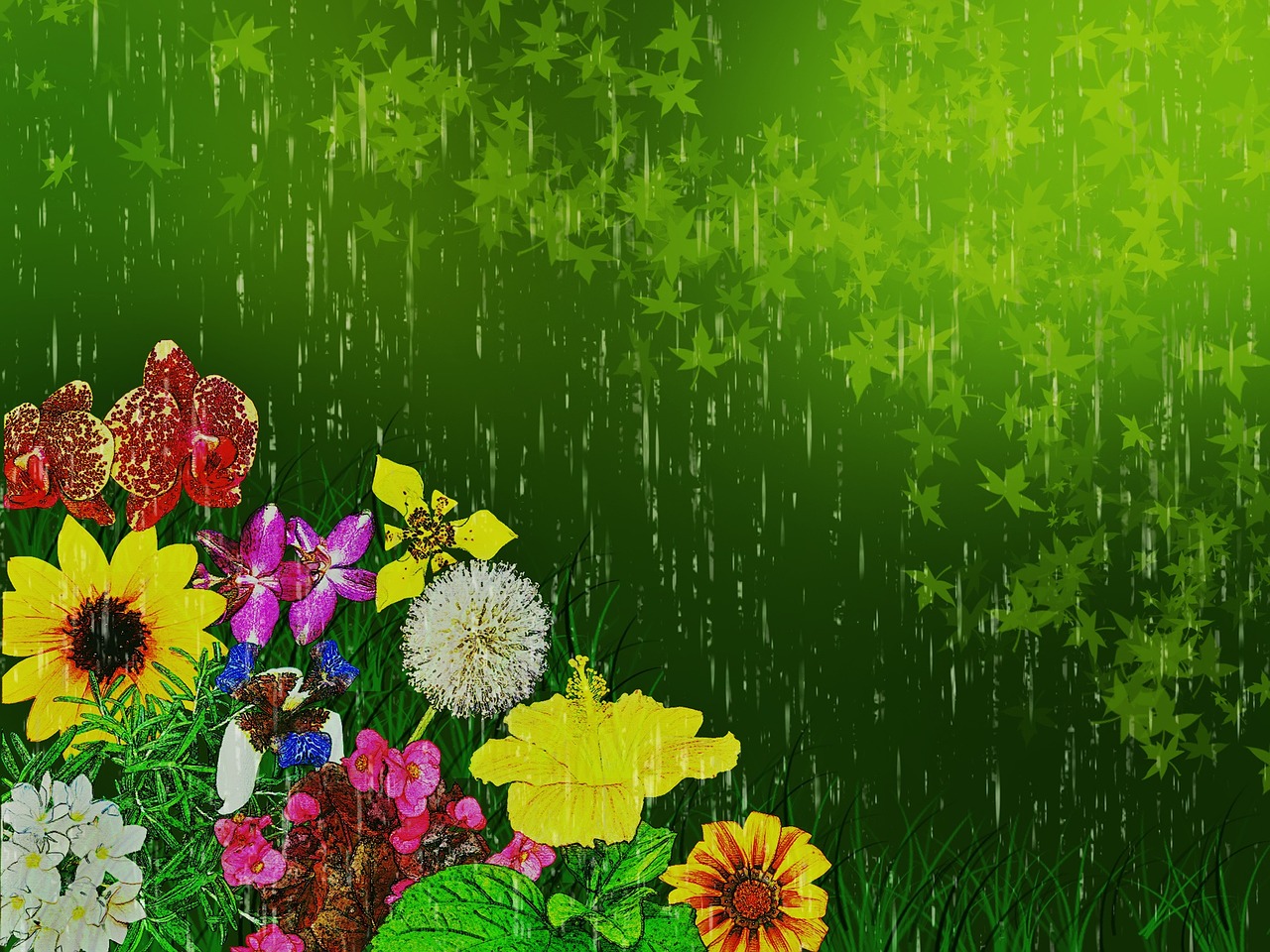 Gėlės Kompozicija, Gėlės, Gamta, Žalias, Lietus, Fono Ekranas, Nemokamos Nuotraukos,  Nemokama Licenzija