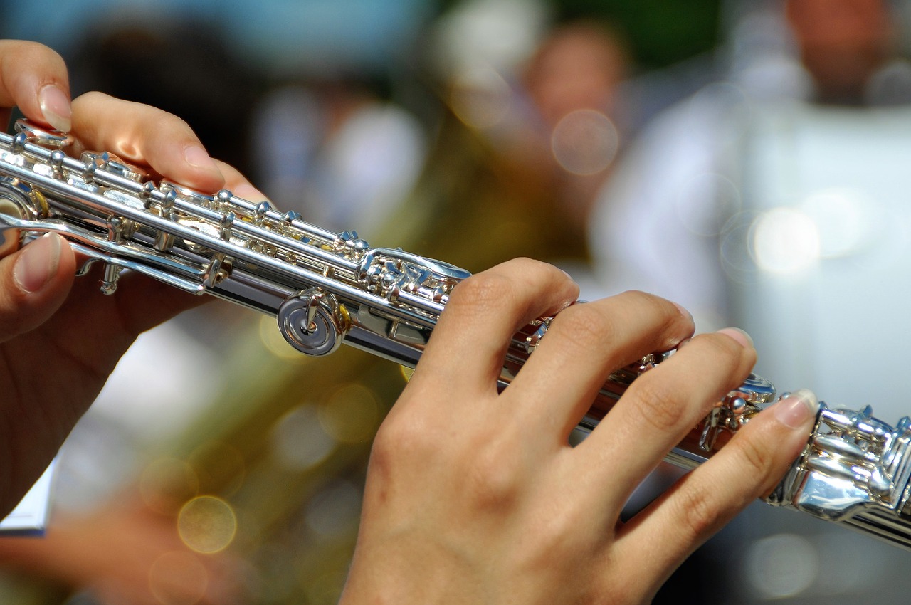 Fleita, Instrumentas, Muzika, Klasikinis, Muzikinis Instrumentas, Pasidabruotas, Žaisti, Garsas, Flautiistas, Menas
