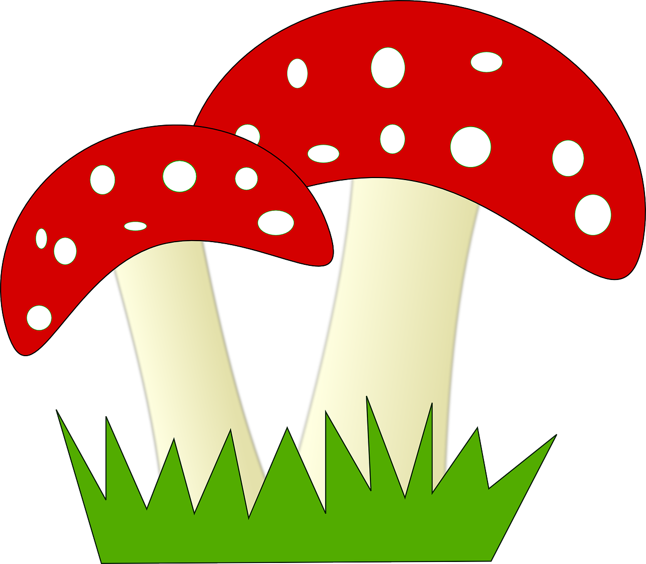 Skristi, Agaric, Grybelis, Grybai, Nuodingas, Psichoaktyvi, Miškas, Nuodai, Raudona, Balta