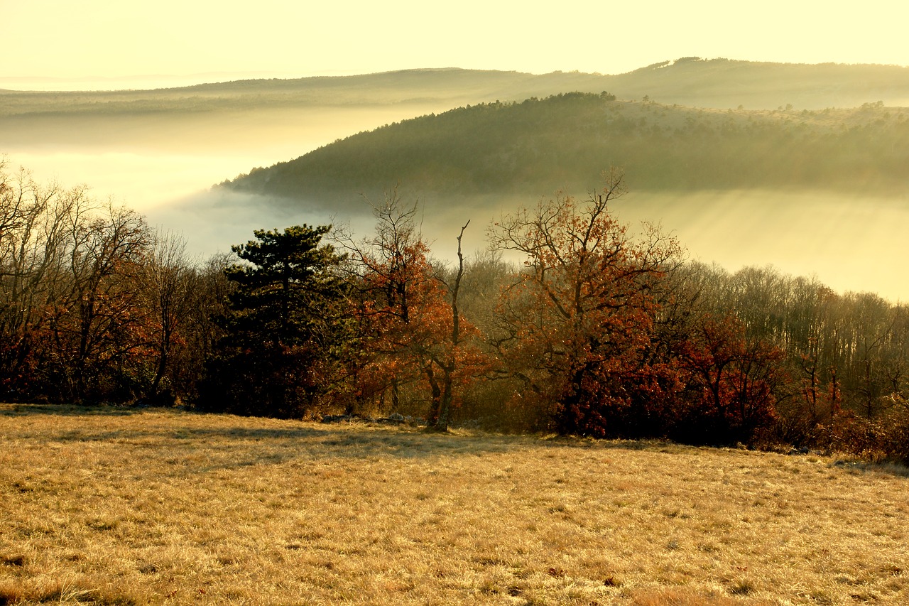 Rūkas, Valle, Miškas, Prato, Gamta, Spalvos, Žiema, Triestine Carso, Nemokamos Nuotraukos,  Nemokama Licenzija