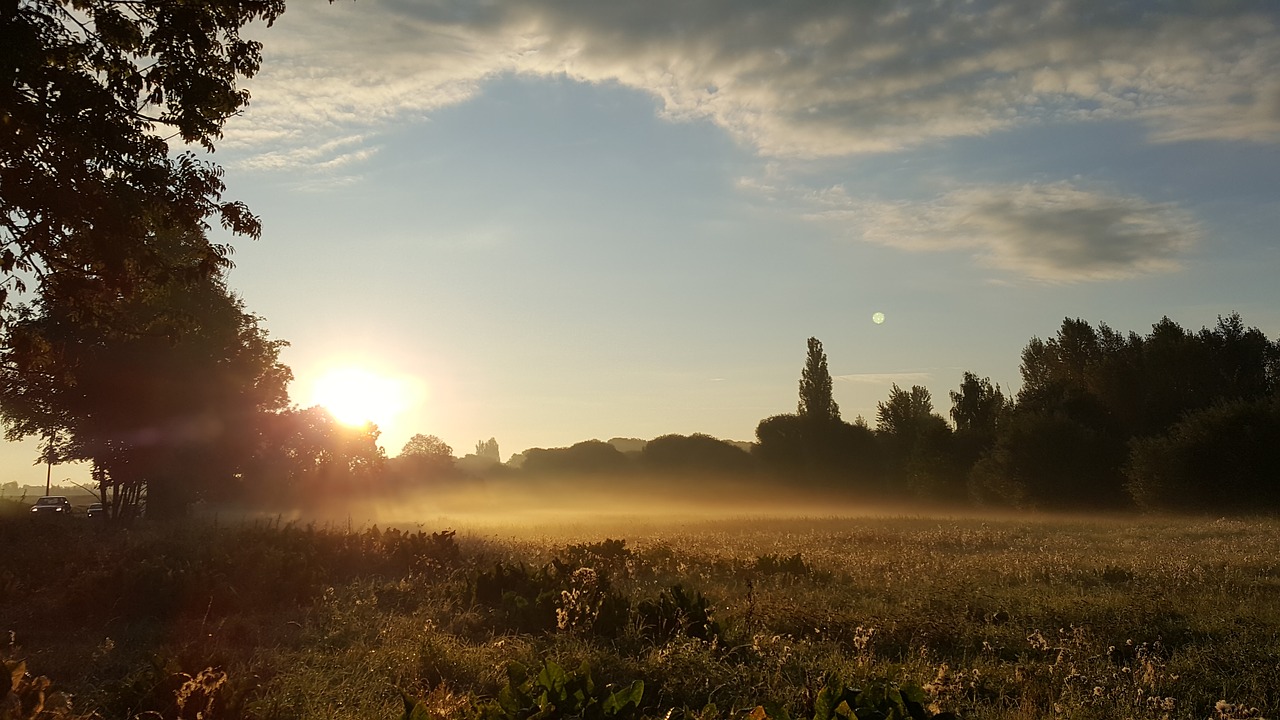 Rūkas,  Sunrise,  Panorama,  Pobūdį,  Dawn,  Medis,  Kelių,  Laukas,  Meadow,  Dangus