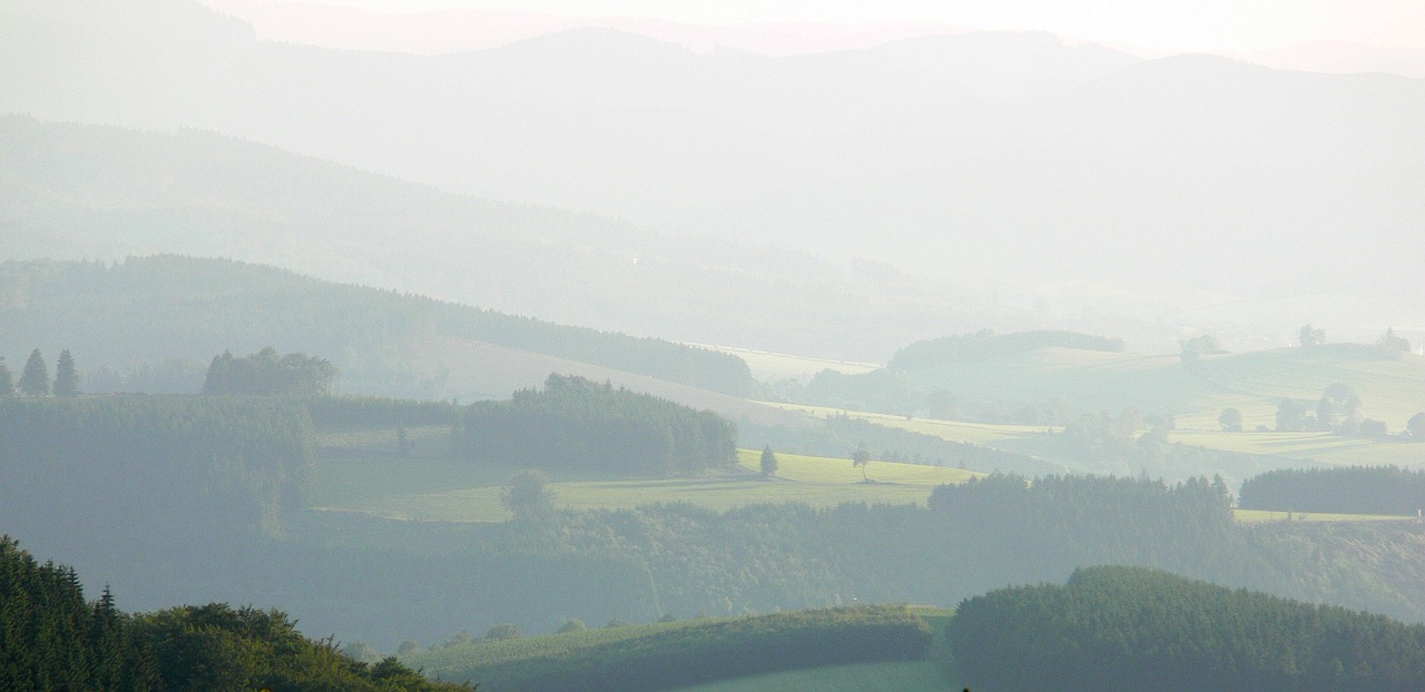 Rūkas, Rūko Slėnis, Rytas, Šaltas, Saulė, Miškas, Winterberg, Gina, Ruduo, Gamta