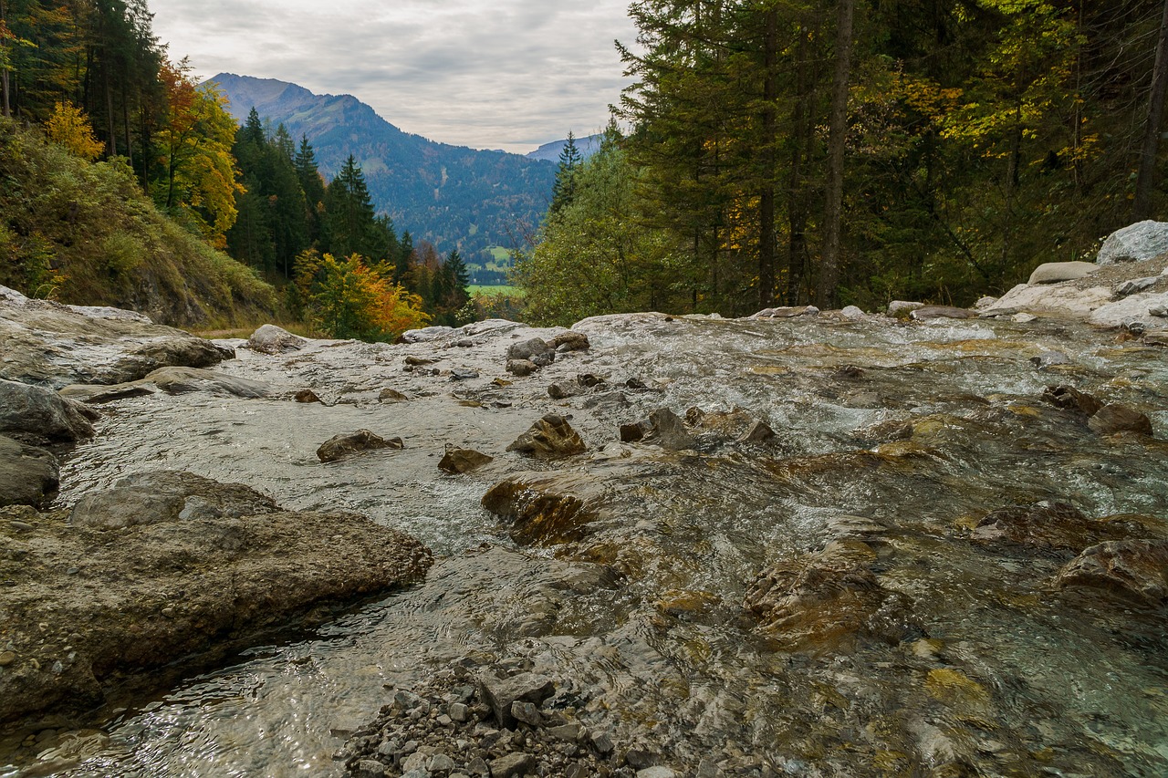 Rūkas, Raukšlių Bachas, Tobel, Oberstdorf, Uždaryti, Vanduo, Skystas, Lašas Vandens, Srautas, Bachas