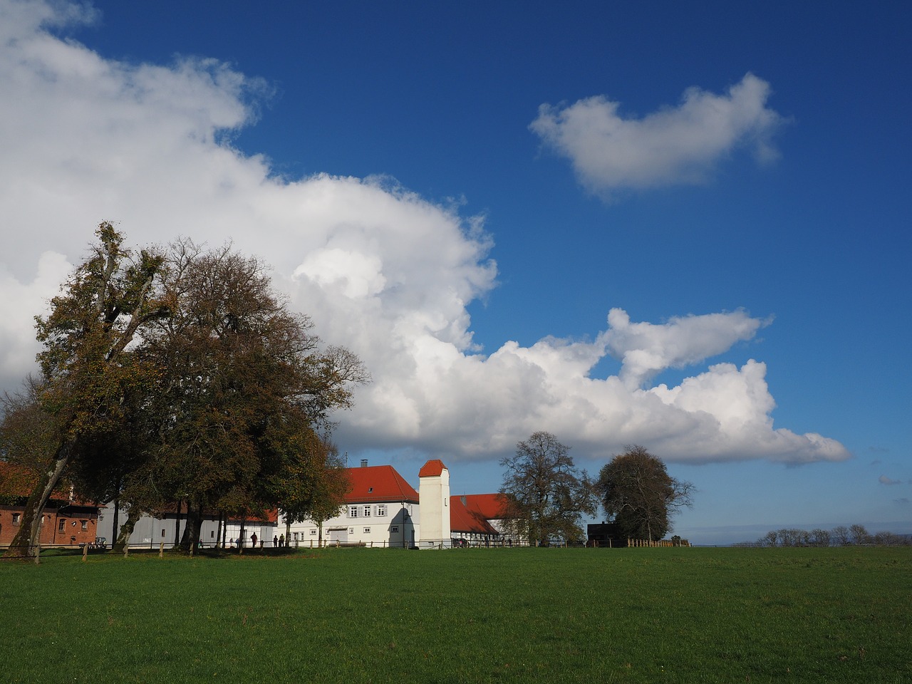 Fohlenhof,  Fohlenhof St Johann,  Hof,  Sankt Johann,  Fohlenhof Stud,  Gestütshof St Johann,  Gestütshof,  Stud,  Žemdirbystė,  Gyvulininkystė