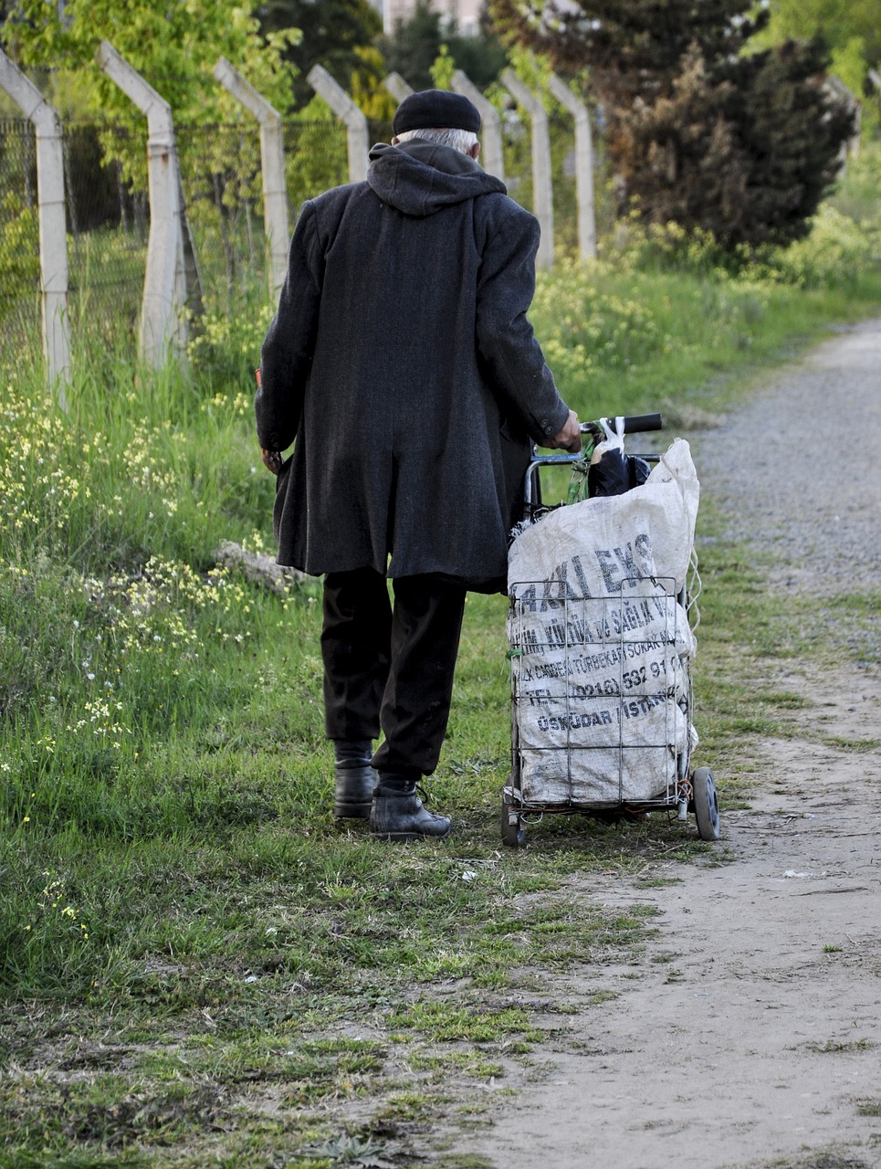 Liaudies, Lauke, Suaugęs, Gamta, Patinas, Ruduo, Žolė, Vaikščioti, Parkas, Medis