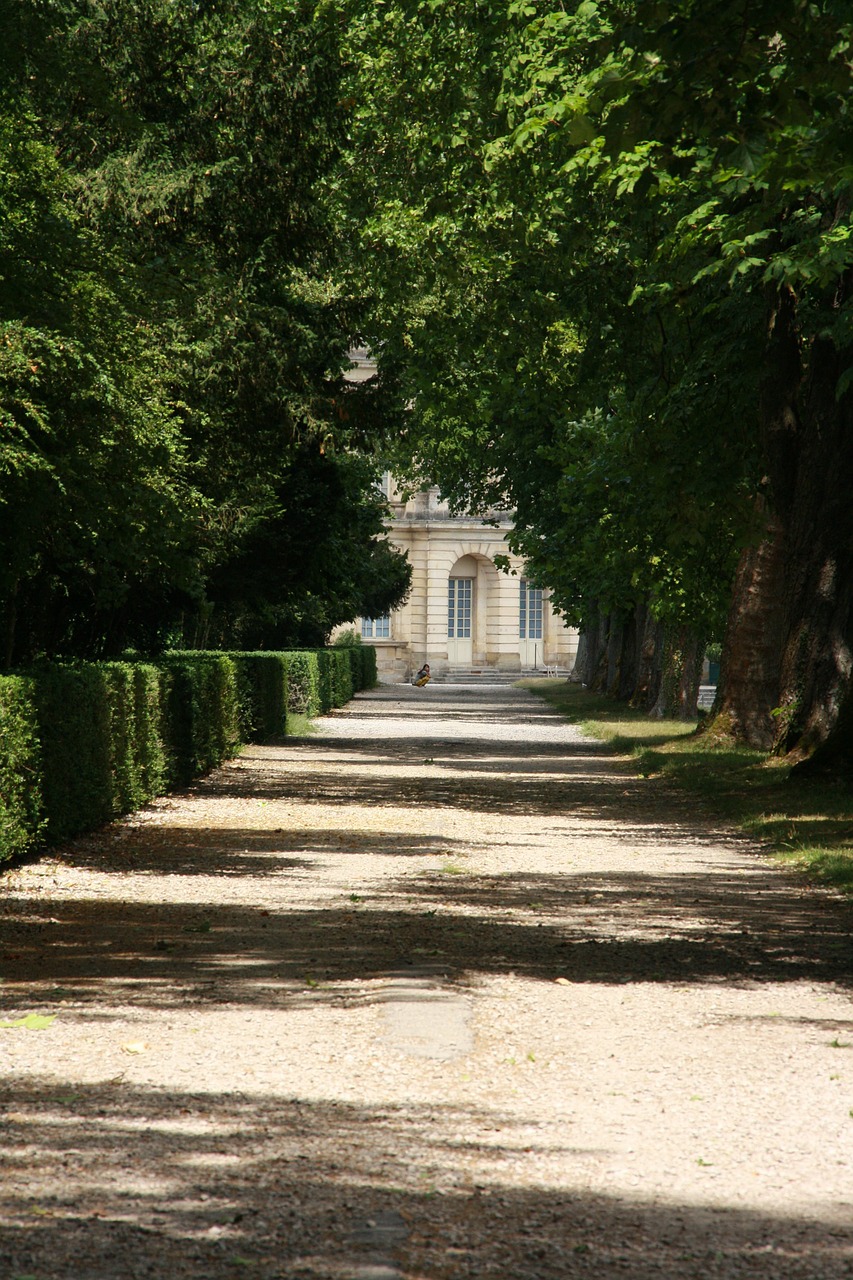 Fontainebleau, Pilis, Toli, Parkas, Šviesa, Šešėlis, Nemokamos Nuotraukos,  Nemokama Licenzija