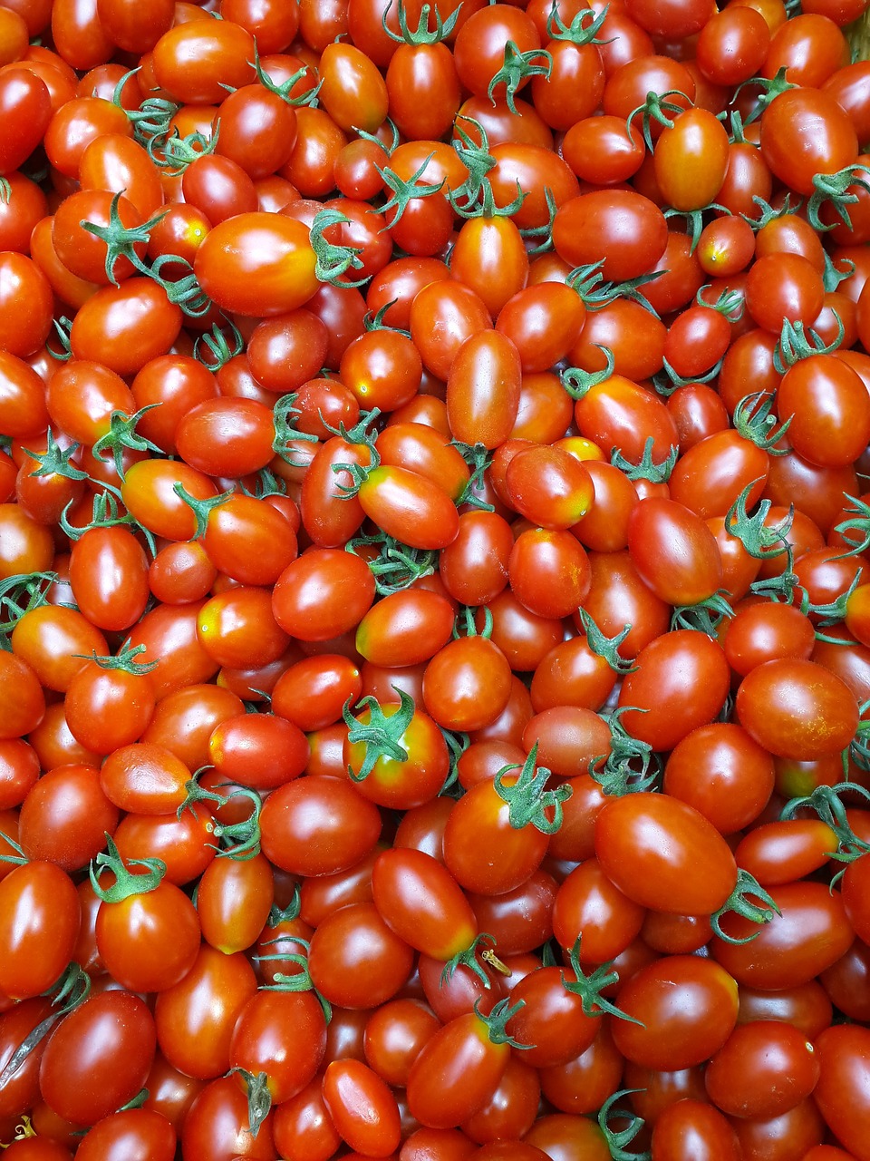 Maisto,  Pomidorų,  Daržovių,  Augti,  Vaisiai, Nemokamos Nuotraukos,  Nemokama Licenzija