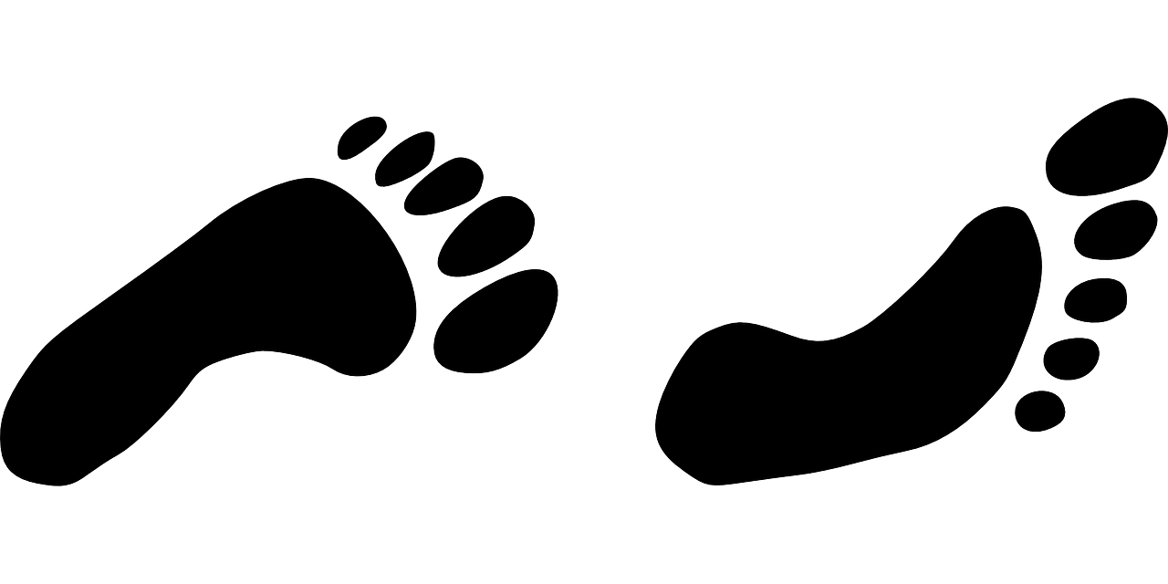 Pėdsakai, Pėdos, Vaikščioti, Pirštai, Žmogus, Pėdsakai, Nemokama Vektorinė Grafika, Nemokamos Nuotraukos,  Nemokama Licenzija