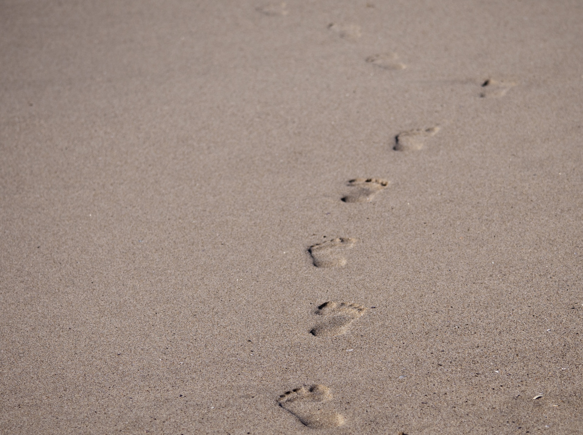 Не было видно следов. Следы на песке. Отпечаток на песке. Следы на пляже. Следы ног на песке.