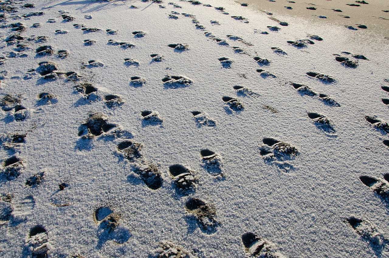 Pėdos, Smėlis, Papludimys, Vaikščioti, Pajūris, Pajūryje, Nemokamos Nuotraukos,  Nemokama Licenzija