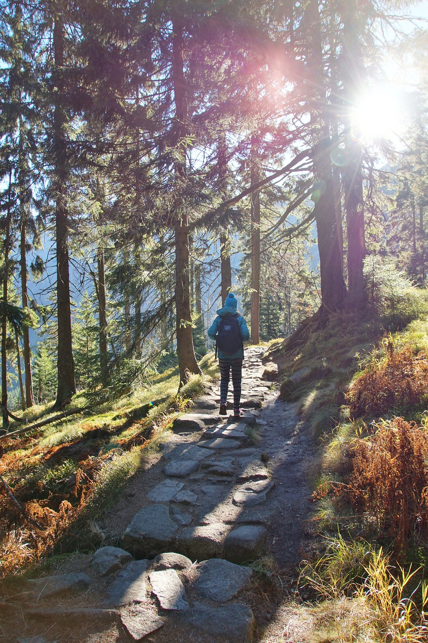 Miškas, Kalnų Takas, Ruduo, Kelionė, Akmenys, Milžiniški Kalnai, Šukos, Nemokamos Nuotraukos,  Nemokama Licenzija