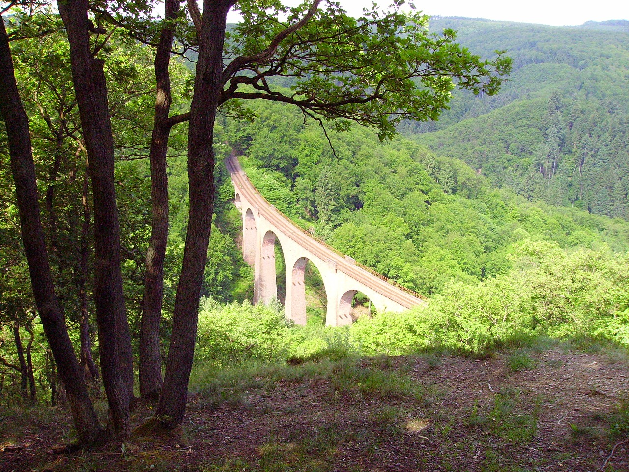 Miškas, Laistymas, Viadukas, Geležinkelio Tiltas, Vidurinis Reinas, Nemokamos Nuotraukos,  Nemokama Licenzija