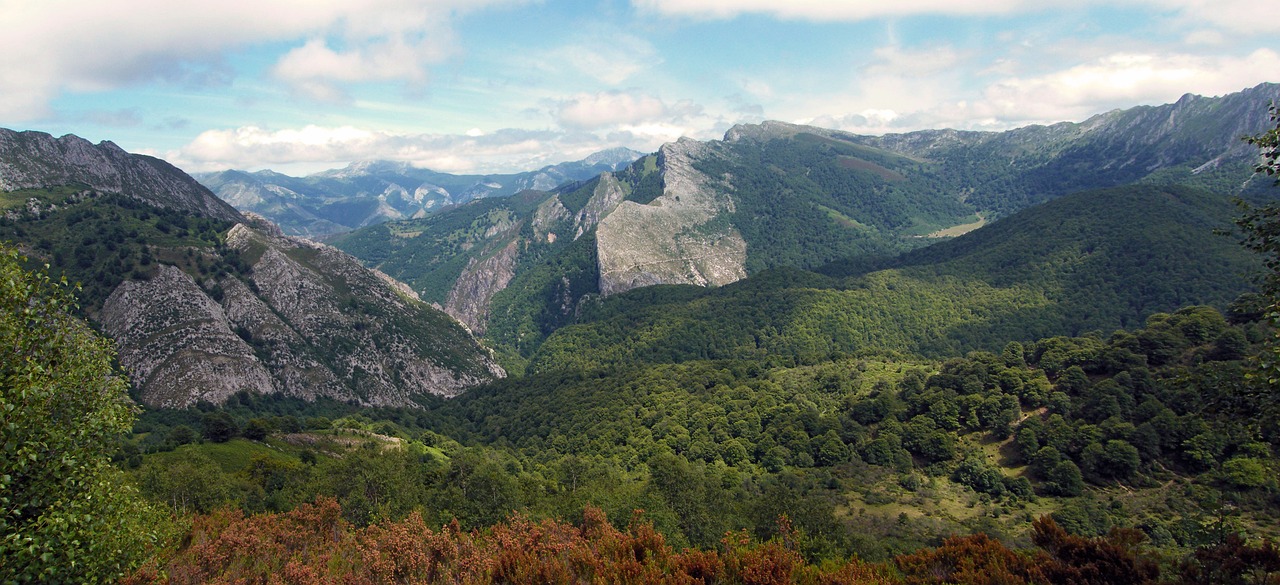 Miškas, Tinklai, Asturias, Ispanija, Kraštovaizdis, Gamta, Medžiai, Kalnai, Žalias, Nemokamos Nuotraukos