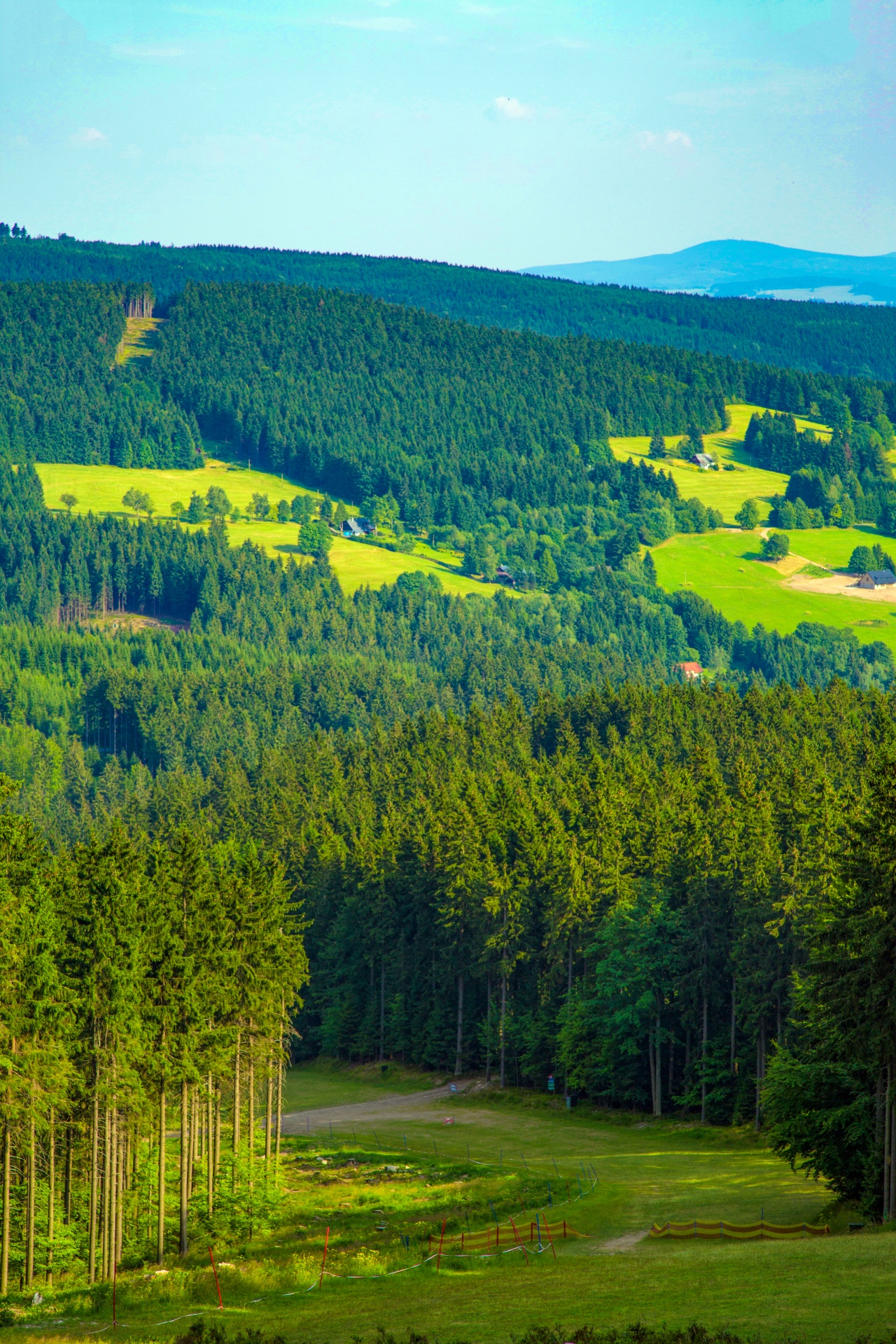 Miškas,  Medis,  Kelias,  Vasara,  Plotas,  Lauke,  Lapija,  Natūralus,  Žalias,  Dienos Šviesa