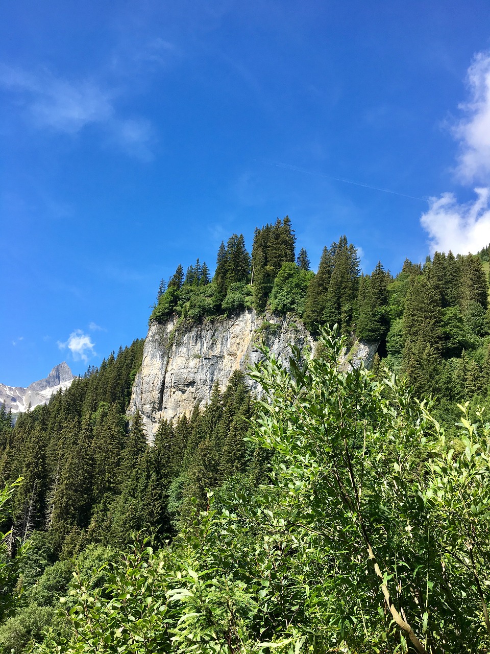 Miškas, Kalnai, Dangus, Kraštovaizdis, Gamta, Rokas, Debesys, Glarus, Šveicarija, Braunwald