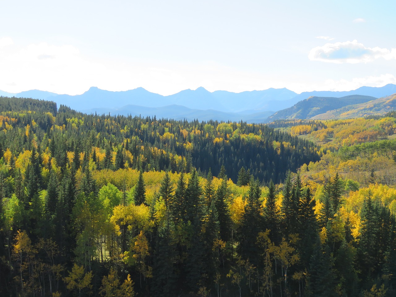 Miškas, Kalnai, Ruduo, Gamta, Kraštovaizdis, Medžiai, Kanada, Alberta, Uolėti Kalnai, Papėdės