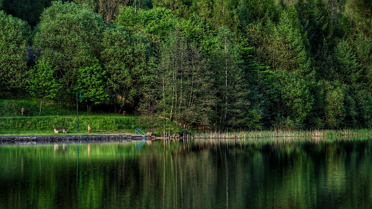 Miškas, Medis, Pieva, Gamta, Vanduo, Ežeras, Tvenkinys, Bankas, Waldbad, Naturbad