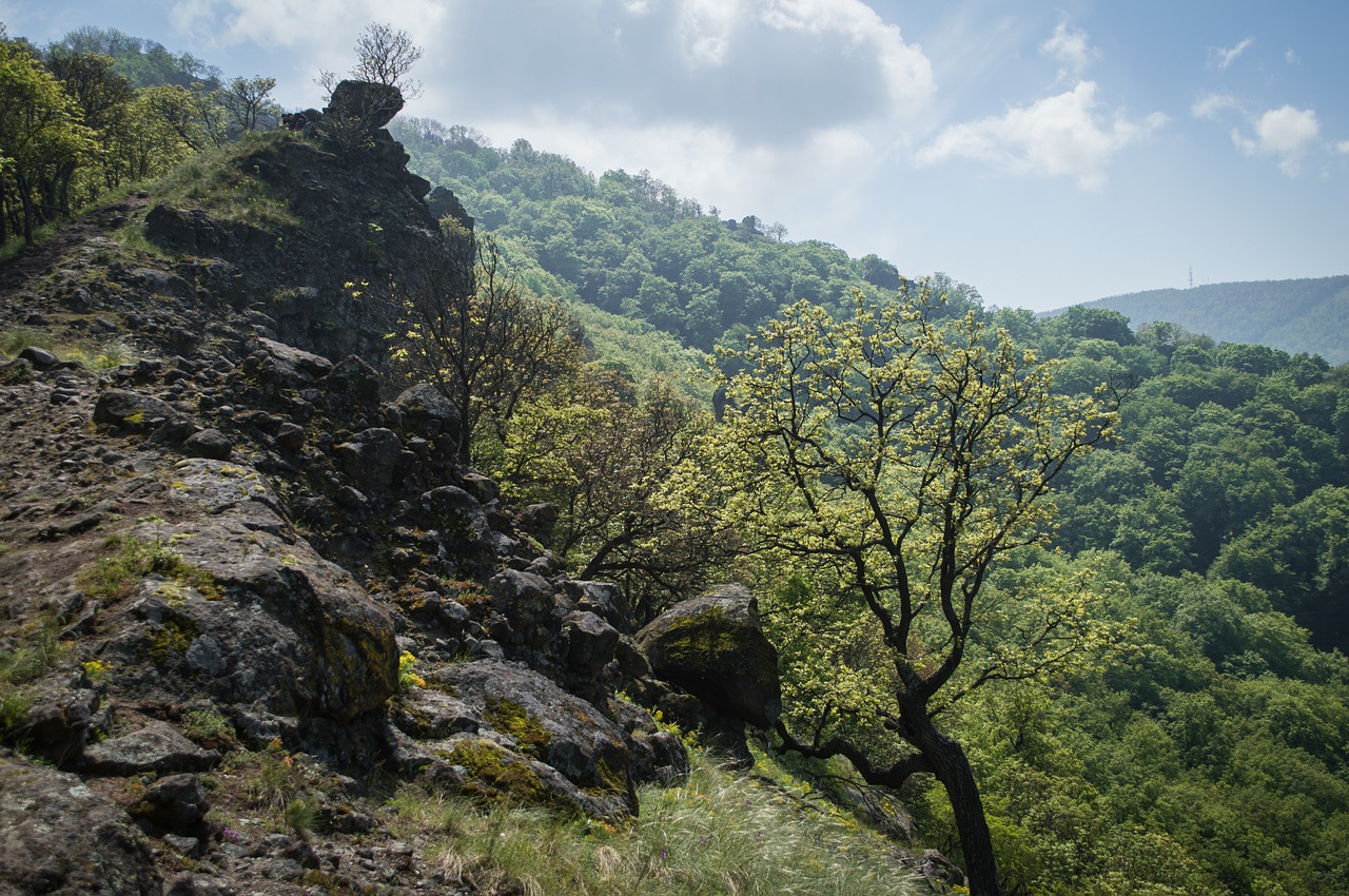 Miškas, Pilis, Pavasaris, Gamta, Kelionė, Kraštovaizdis, Kalnas, Turistinis, Europietis, Žalias