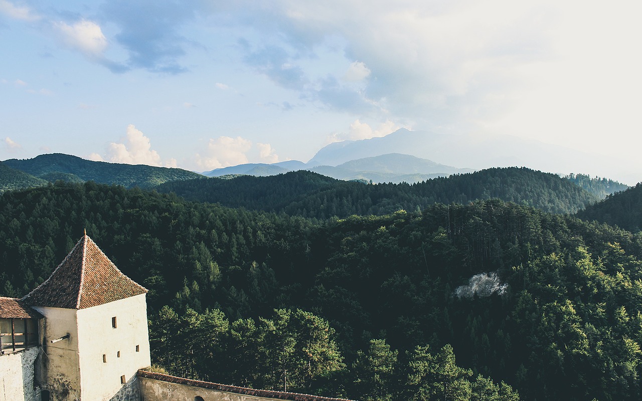 Miškas, Medžiai, Miškai, Kalvos, Slėniai, Kalnai, Kraštovaizdis, Gamta, Vasara, Dangus