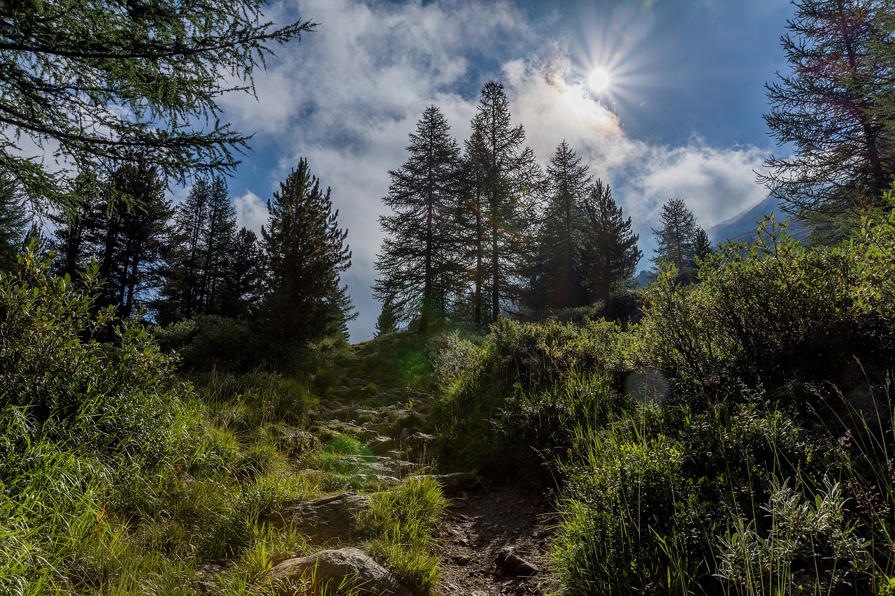 Miškas, Kalnas, Panorama, Kraštovaizdis, Gamta, Ežeras, Dangus, Mėlynas, Regėjimas, Debesys