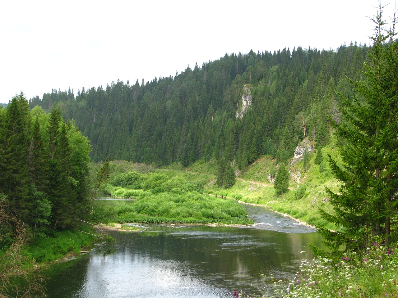 Miškas, Gamta, Vasara, Kraštovaizdis, Žalias, Grožis, Atostogos, Balti Debesys, Kelionė, Vanduo