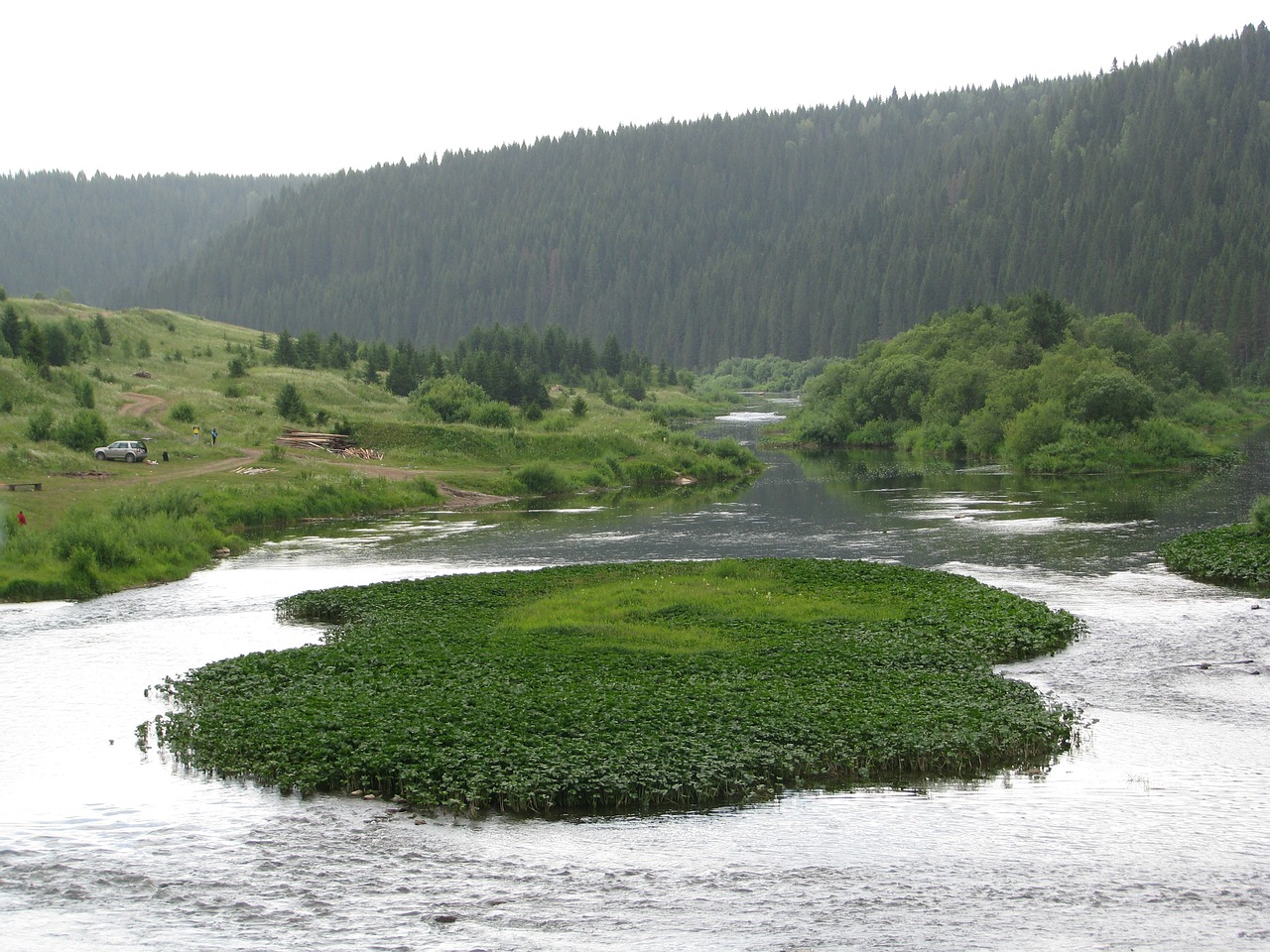 Miškas, Gamta, Vasara, Kraštovaizdis, Žalias, Grožis, Atostogos, Balti Debesys, Kelionė, Vanduo