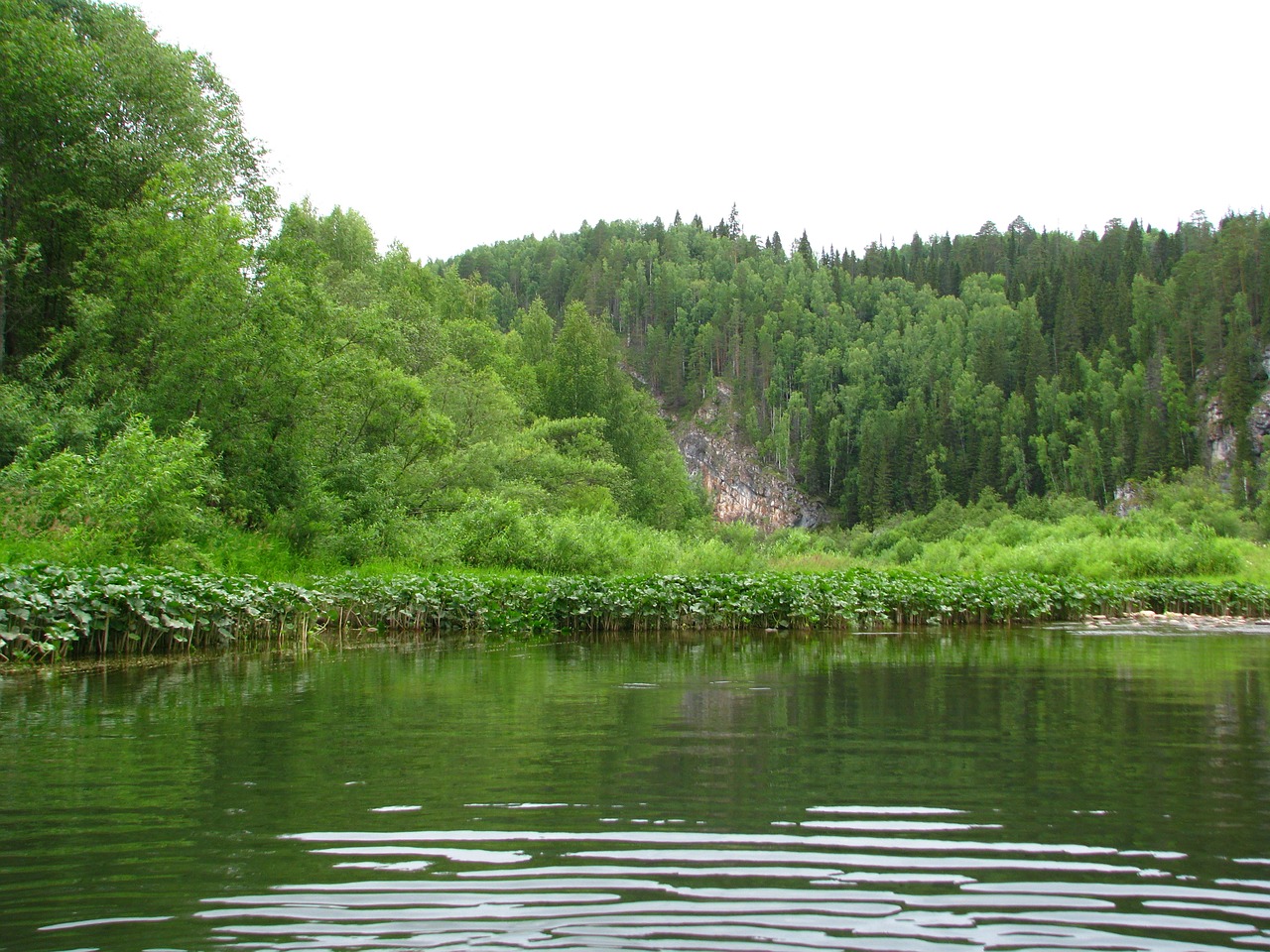 Miškas, Gamta, Vasara, Kraštovaizdis, Žalias, Grožis, Atostogos, Balti Debesys, Kelionė, Vanduo