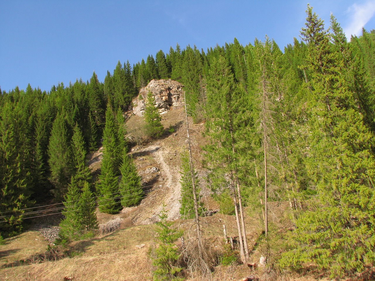 Miškas, Gamta, Vasara, Kraštovaizdis, Žalias, Grožis, Atostogos, Balti Debesys, Kelionė, Vanduo