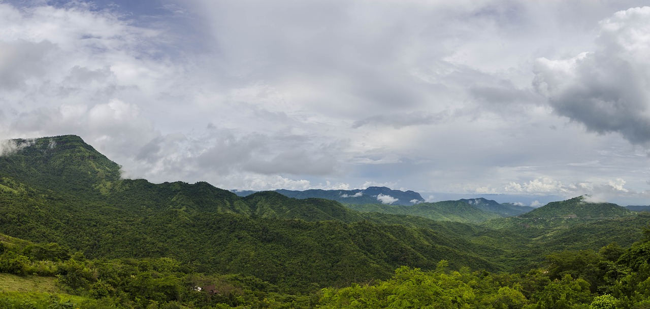 Miškas, Pa, Petchaboon, Tailandas, Medis, Žalias, Kalnas, Kalnai, Debesis, Kelionė