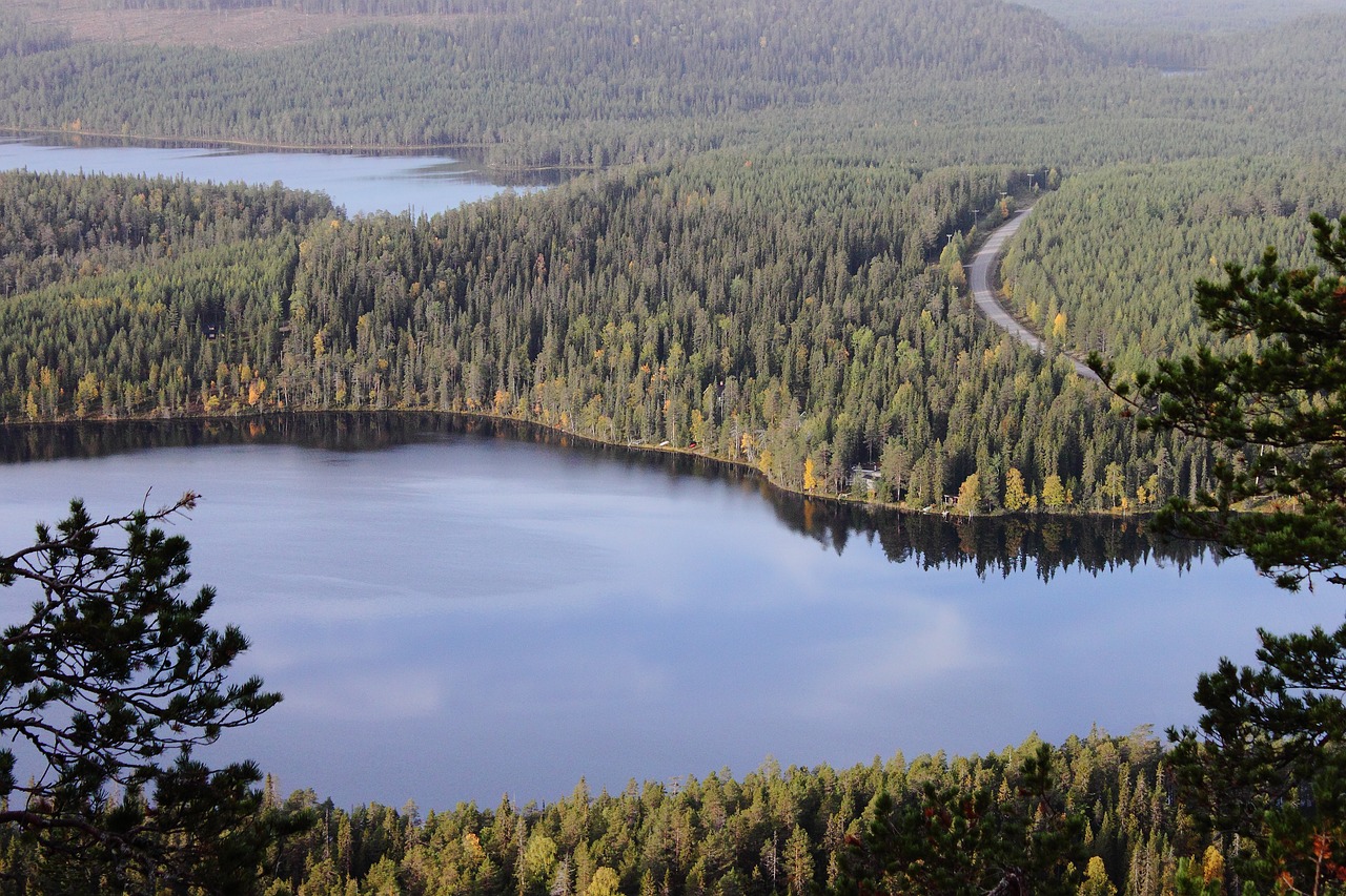 Miškas, Ežeras, Gamta, Kraštovaizdis, Ruduo, Lygus Paviršius, Vanduo, Ant Ežero, Finland, Medžiai