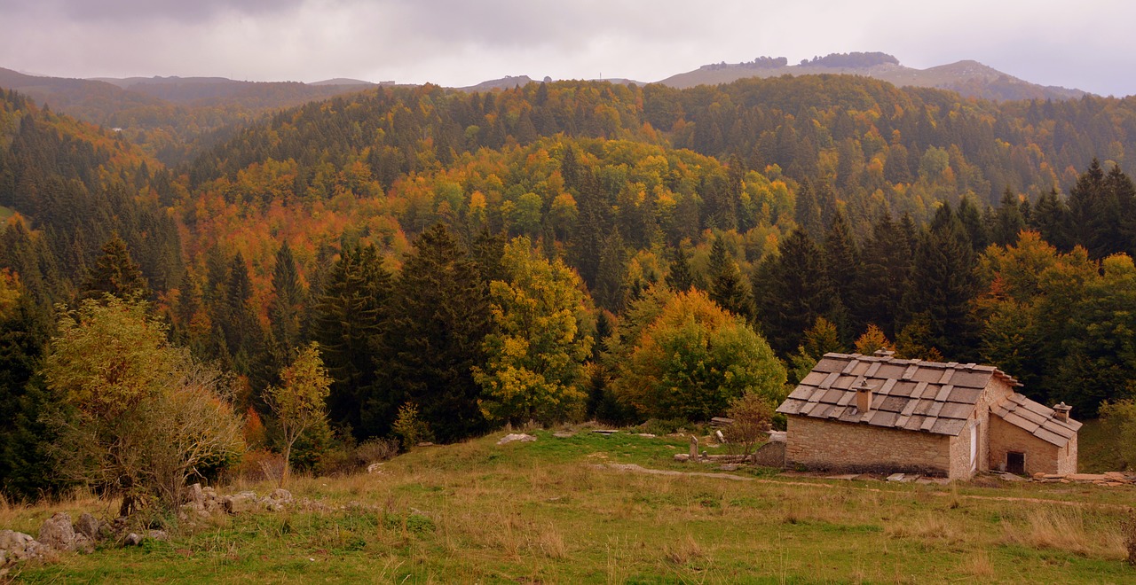 Miškas, Ruduo, Alm, Medžiai, Kraštovaizdis, Kalnas, Europinis Kelias, E5, Lessinia, Italy