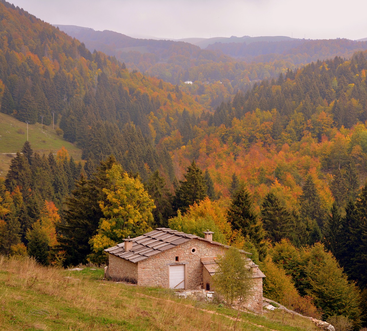 Miškas, Ruduo, Alm, Medžiai, Kraštovaizdis, Kalnas, Europinis Kelias, E5, Lessinia, Italy