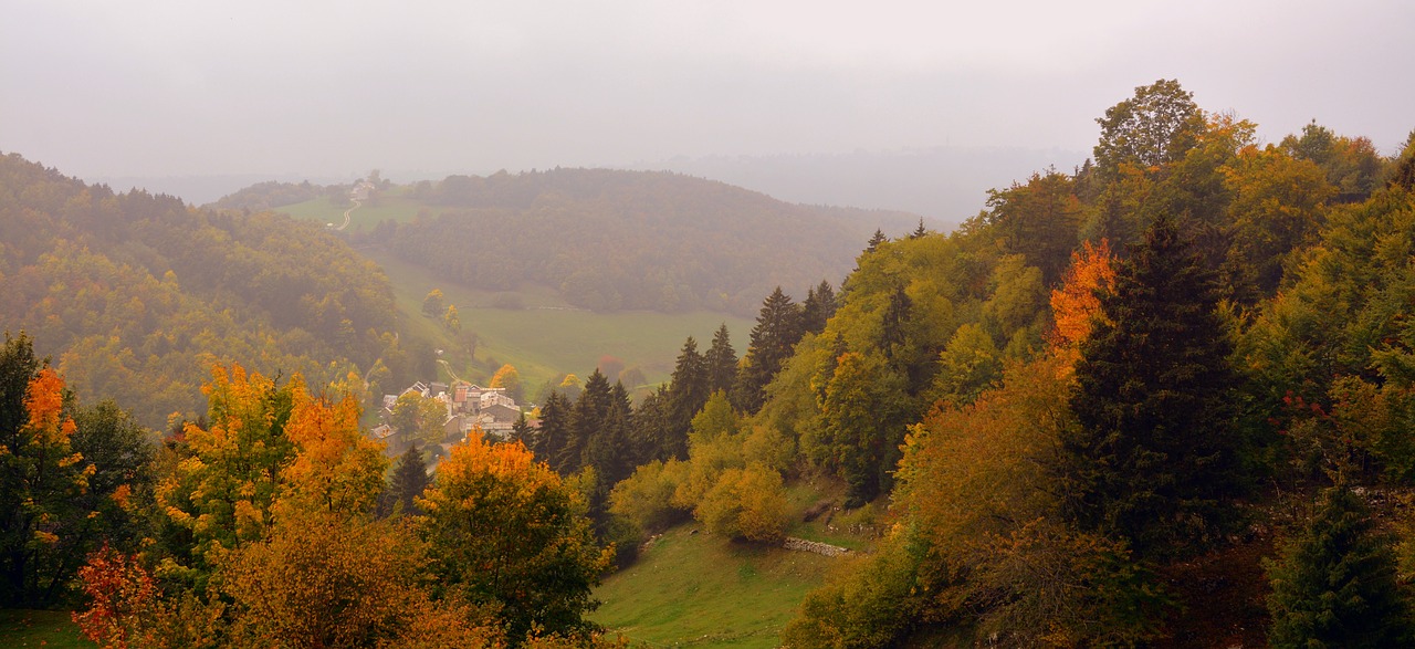 Miškas, Ruduo, Kraštovaizdis, Europinis Kelias, E5, Lessinia, Italy, Nemokamos Nuotraukos,  Nemokama Licenzija