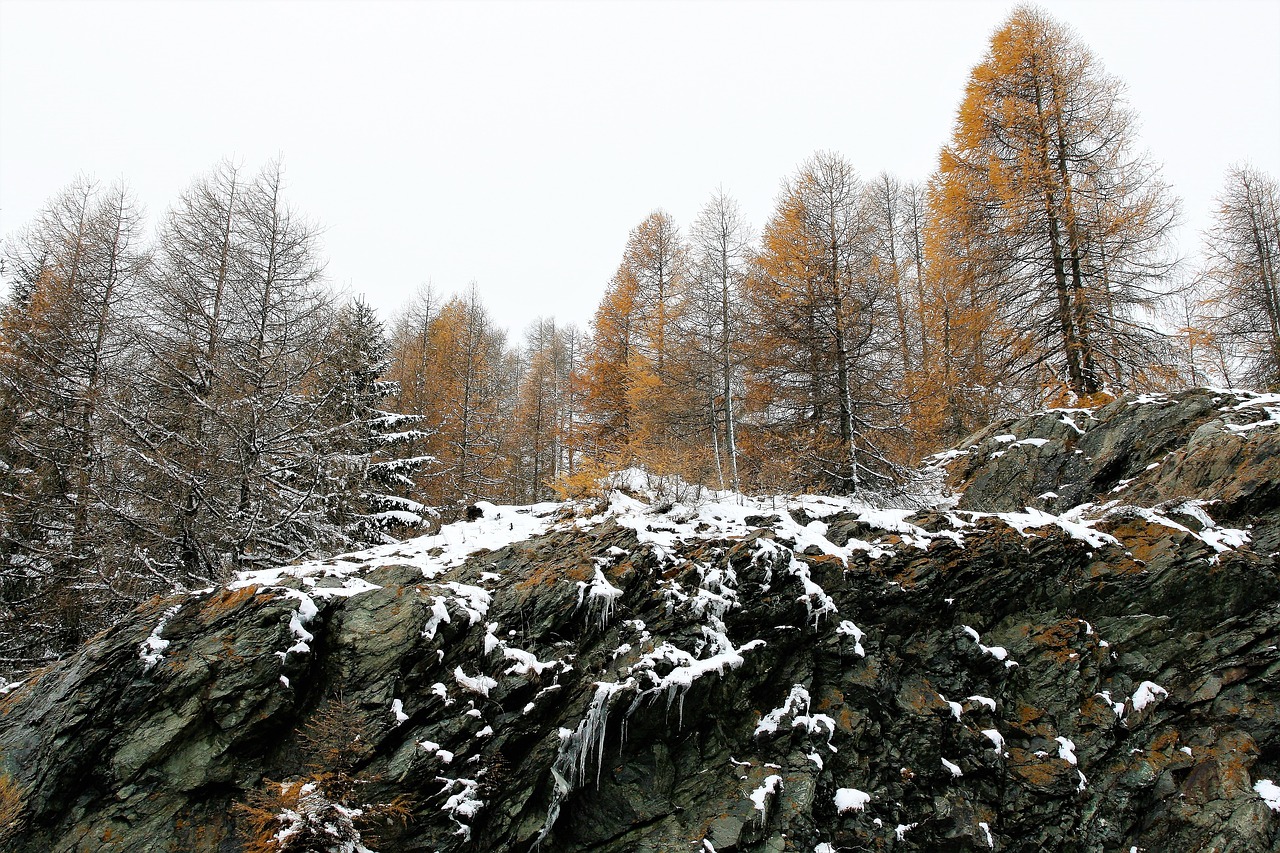 Miškas, Maumedis, Akmenys, Žiema, Aukštis, Sniegas, Varveklių, Vaizdas Iš Viršaus, Kalnas, Debesuota