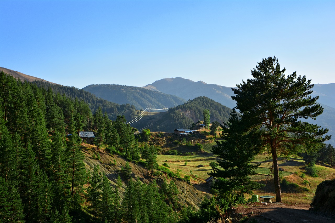 Miškas, Highland, Gamta, Kraštovaizdis, Žalias, Mėlynas, Medis, Kalnas, Dangus, Fonas