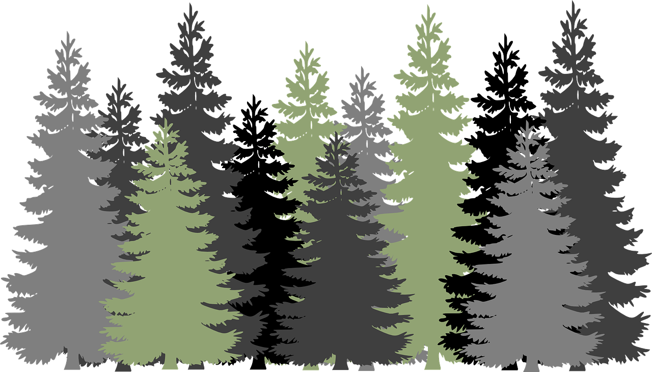 Miškas, Medžiai, Visžalis, Spygliuočiai, Pušys, Pilka, Žalias, Juoda, Gamta, Nemokama Vektorinė Grafika
