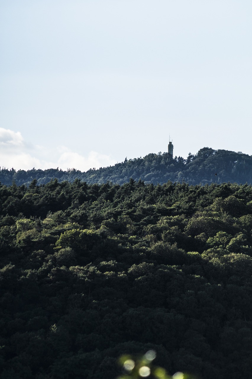 Miškas,  Bokštas,  Kraštovaizdis,  Pilis,  Architektūra,  Pobūdį,  Dangus,  Medis,  Vasara, Nemokamos Nuotraukos